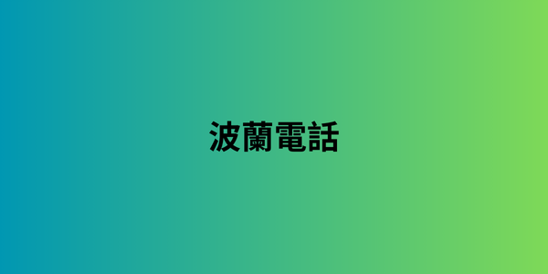 2024 年更新的全球电话号码列表